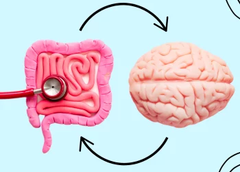 Research Shows Gut Health Is Closely Linked to Mental Health