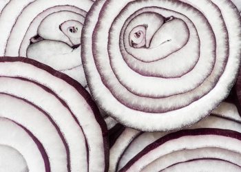 Cut Cakes, Splattering Sauces, and Freshly Stirred Soups: Conveying the Temperature and Texture of Food