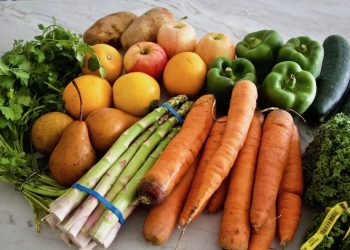 Sustainable Diets and Food Ethics: Navigating the Future of Conscious Eating