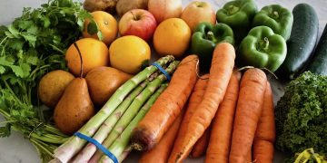 Sustainable Diets and Food Ethics: Navigating the Future of Conscious Eating