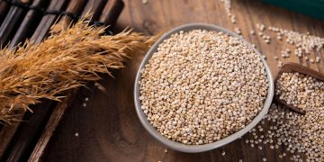 Quinoa: A High-Protein, Fiber-Rich, and Mineral-Packed Grain for Healthy Recipes