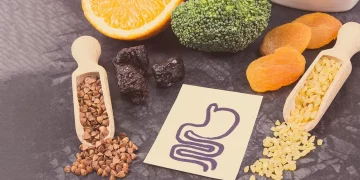 More and More People Are Focusing on Probiotics and Prebiotics Intake, Choosing Fermented Foods and Fiber-Rich Foods to Maintain Gut Microbial Balance
