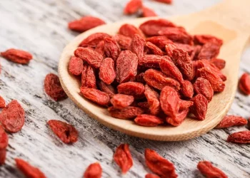 Goji Berries: The Nutritional Powerhouse of Traditional and Modern Diets