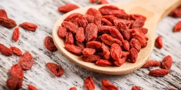 Goji Berries: The Nutritional Powerhouse of Traditional and Modern Diets