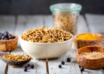 Emerging Ingredient Trends: The Use of Insect Protein, Sustainable Seafood, and More