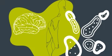 The Connection Between Gut Health and Mental Health