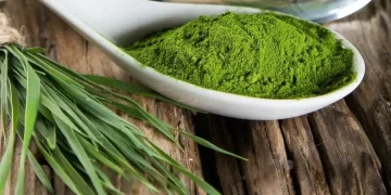 Spirulina: A Superfood Packed with Protein and B Vitamins