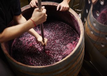 Traditional Winemakers and Local Brewing Techniques