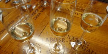 Crafting Excellence: The Legacy of French Champagne Makers and Japanese Soy Sauce & Miso Artisans