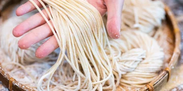 Handmade Noodles and Dumplings: The Embodiment of Family Warmth and Regional Culture