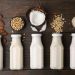 Plant-Based Milks: Almond Milk, Oat Milk, Coconut Milk, and Their Growing Role in Beverages and Desserts