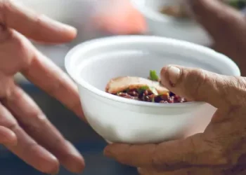 Food Sharing and Community Support: How Local Food Sharing Initiatives Are Transforming Communities