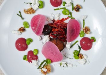 Color Harmony: How Chefs and Food Designers Use Bold Colors to Enhance the Visual Appeal of Modern Cuisine