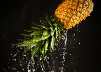 The Dynamic Sensation: How Motion in Photography Creates an Immersive Experience