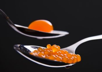 Molecular Gastronomy: A Culinary Revolution Defined by Science, Innovation, and Visual Impact