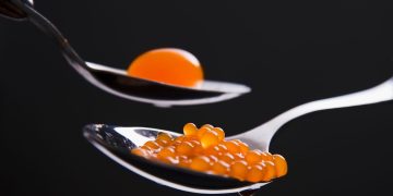 Molecular Gastronomy: A Culinary Revolution Defined by Science, Innovation, and Visual Impact